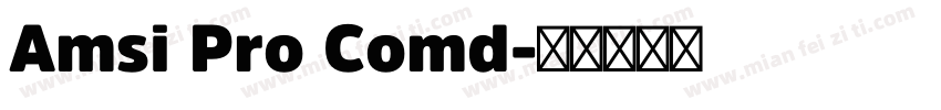 Amsi Pro Comd字体转换